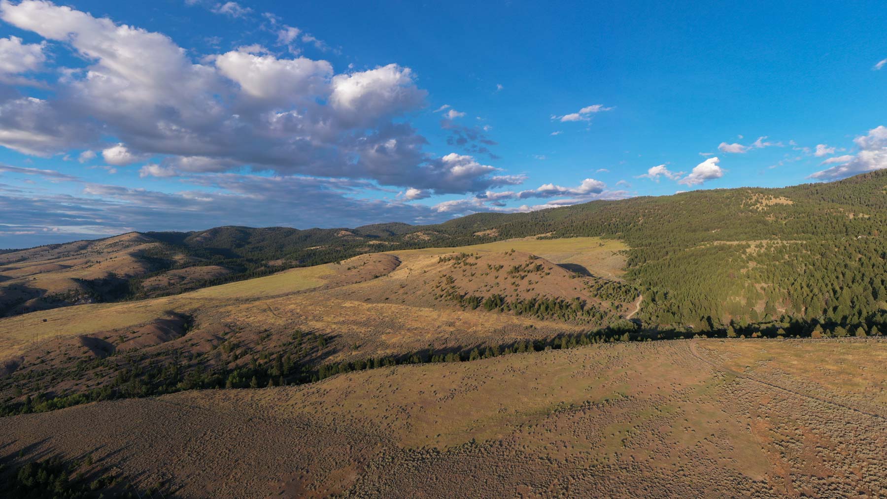 Bitterroot Mountain Retreat property picture 22 of 106