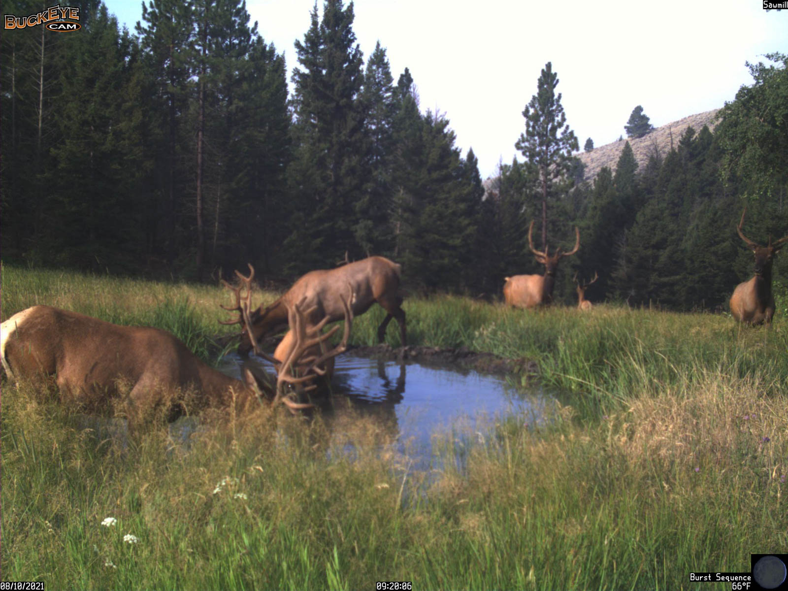 Bitterroot Mountain Retreat property picture 85 of 106
