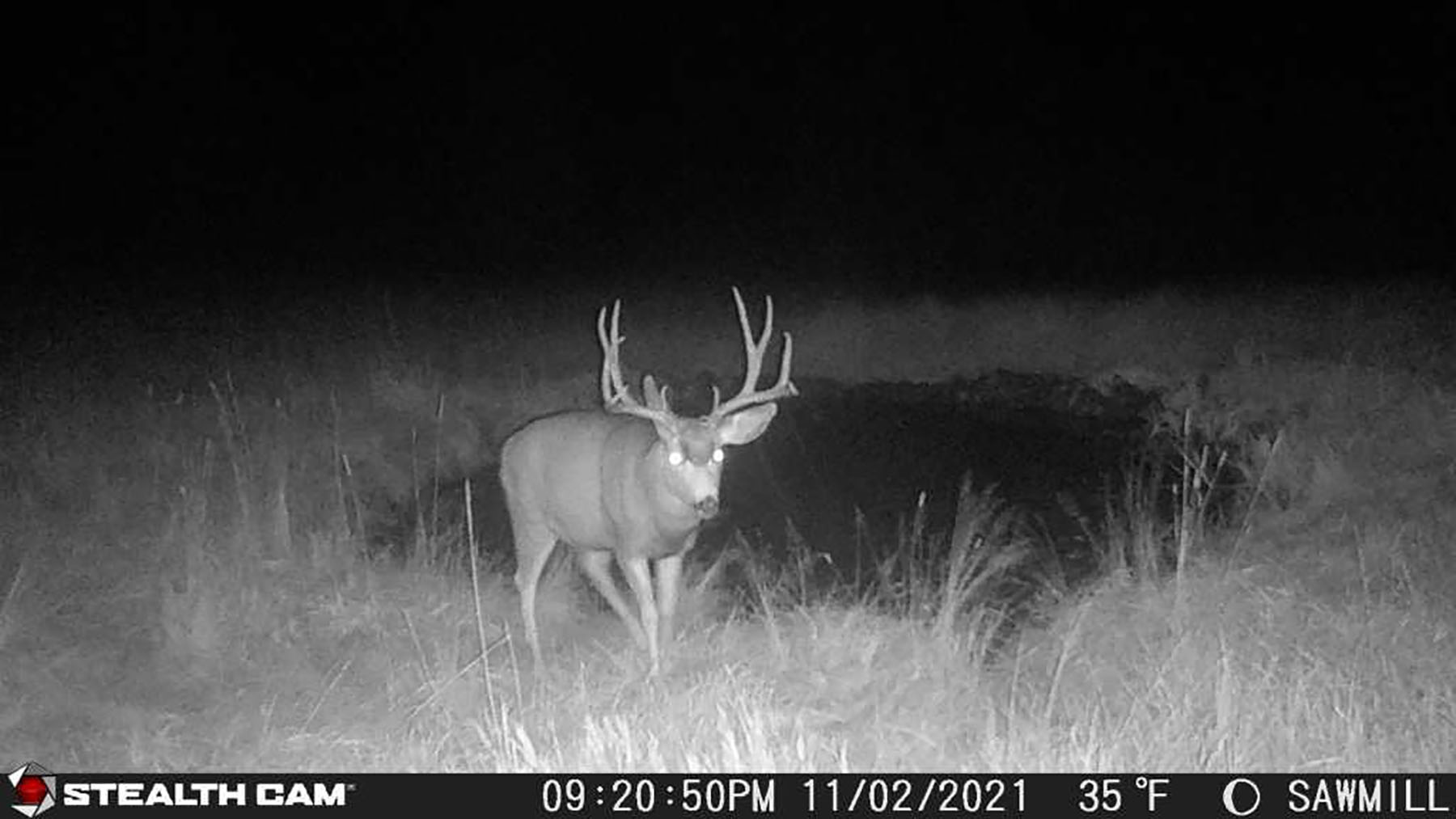 Bitterroot Mountain Retreat property picture 100 of 106