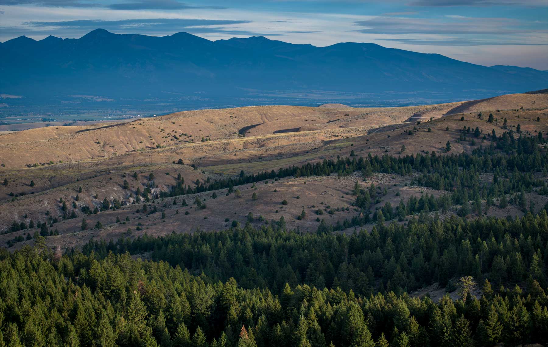 Bitterroot Mountain Retreat property picture 17 of 106