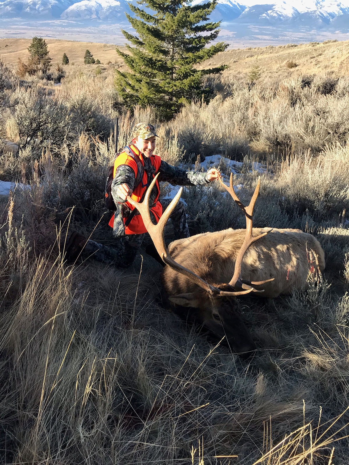 Bitterroot Mountain Retreat property picture 3 of 106
