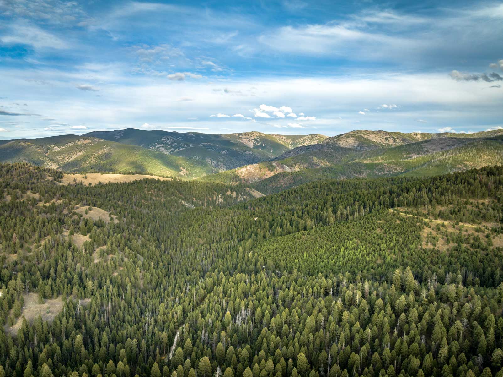 Bitterroot Mountain Retreat property picture 7 of 106