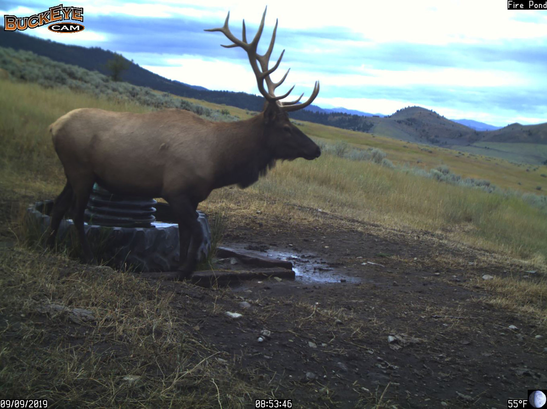 Bitterroot Mountain Retreat property picture 92 of 106
