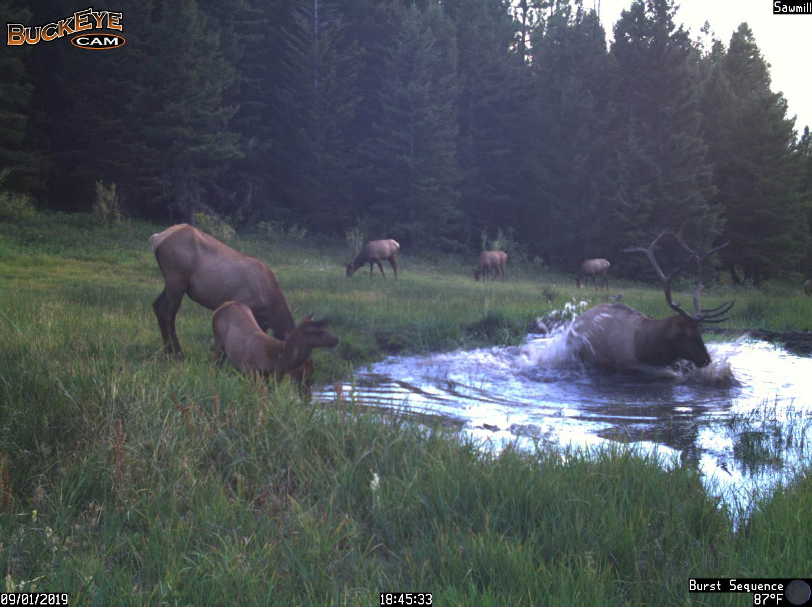 Bitterroot Mountain Retreat property picture 89 of 106