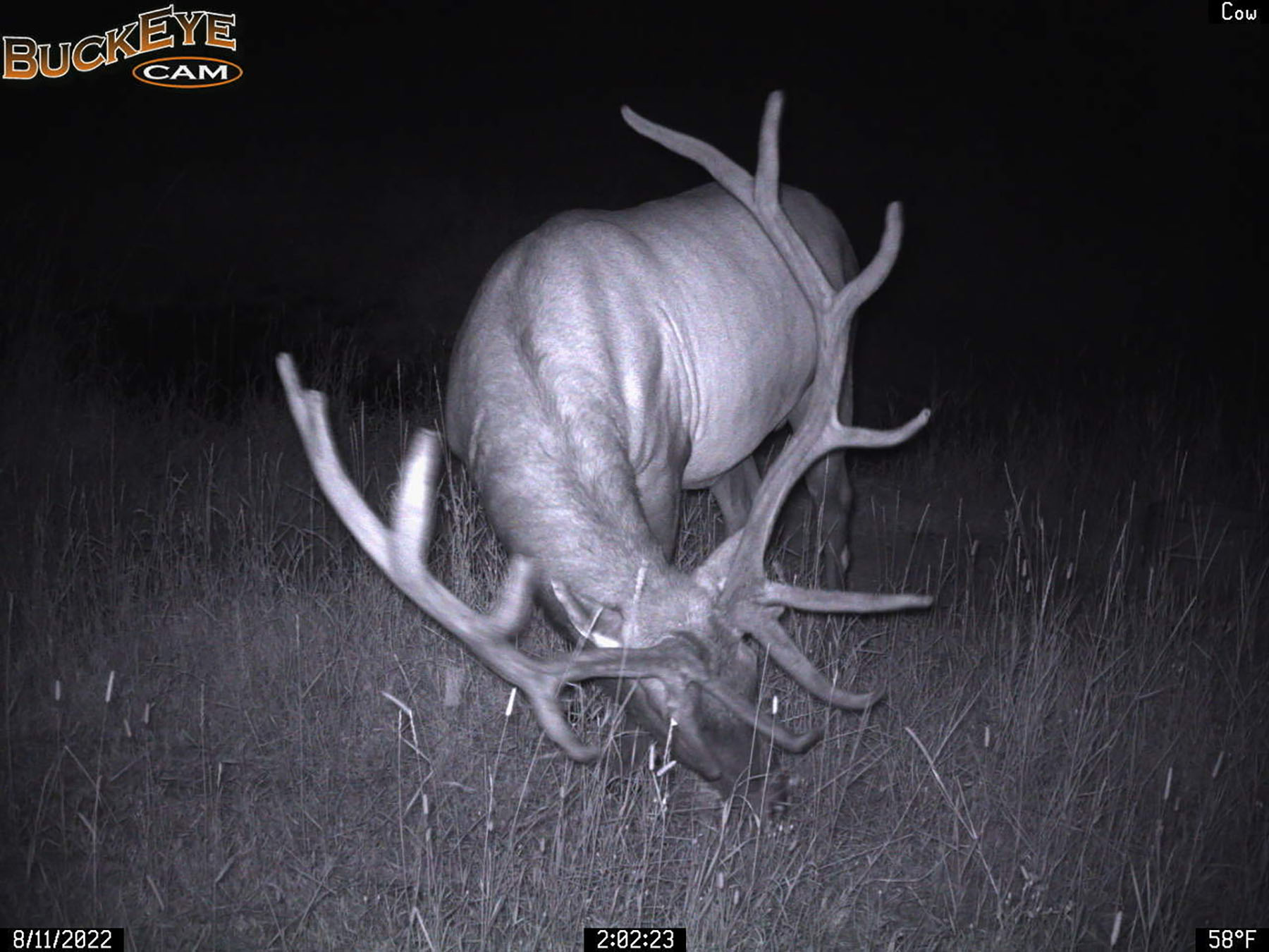 Bitterroot Mountain Retreat property picture 95 of 106