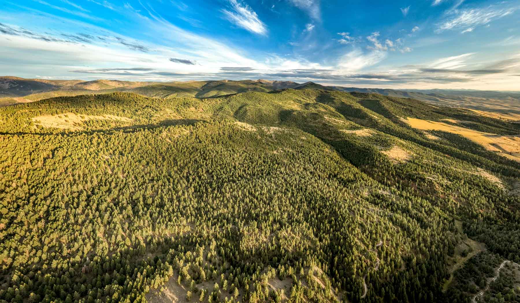 Bitterroot Mountain Retreat property picture 9 of 106