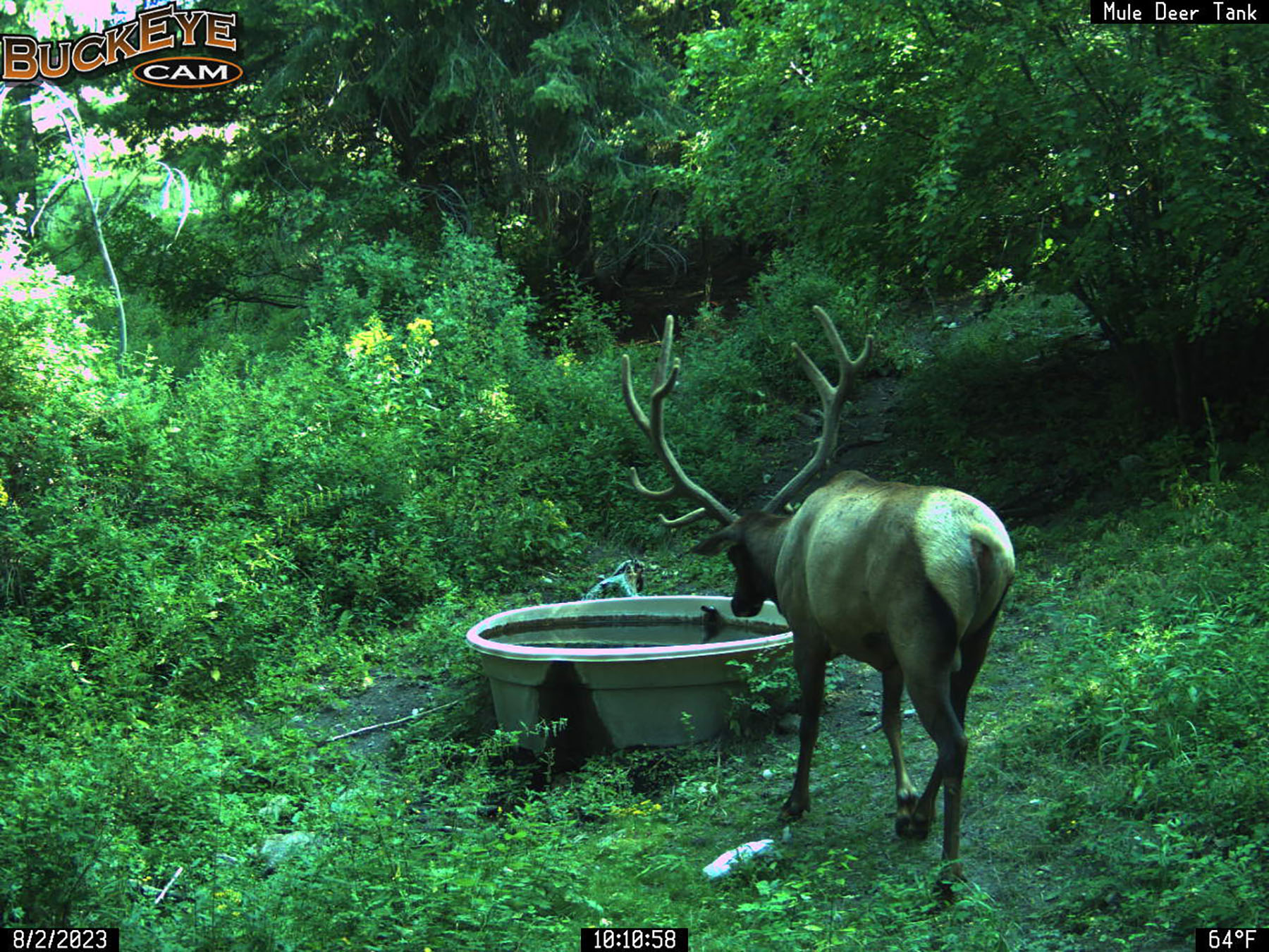 Bitterroot Mountain Retreat property picture 101 of 106