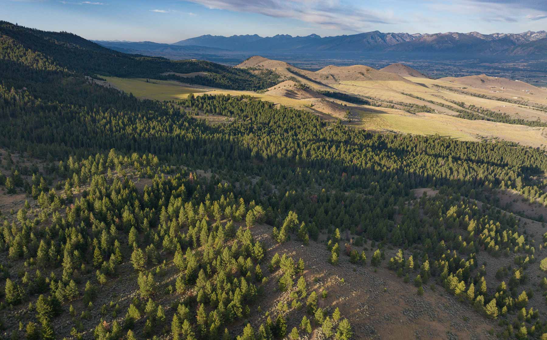 Bitterroot Mountain Retreat property picture 29 of 106