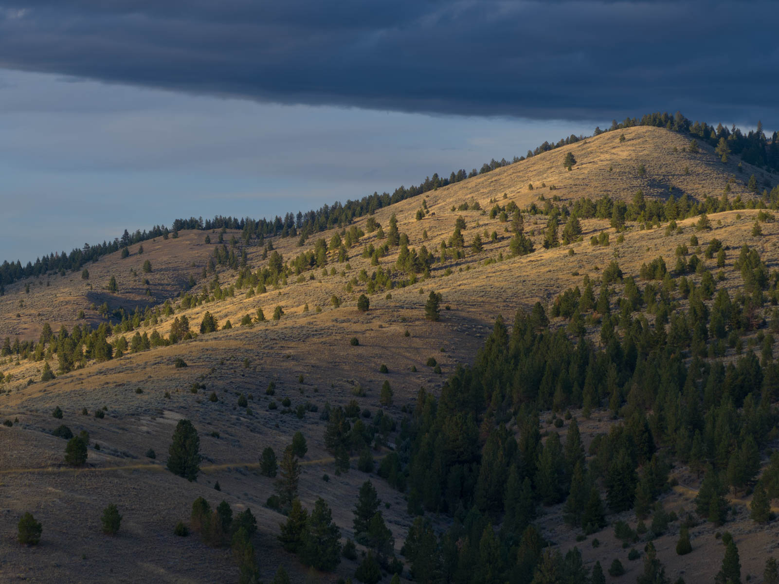 Bitterroot Mountain Retreat property picture 13 of 106