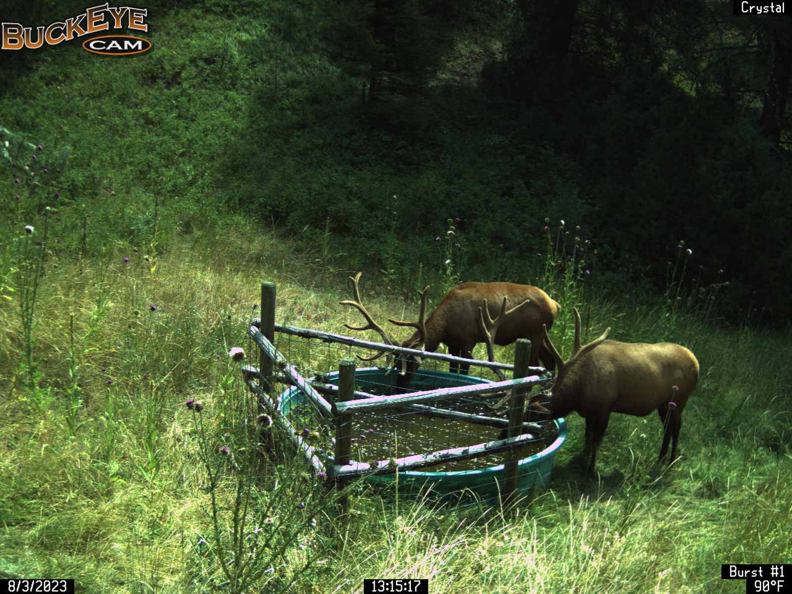 Bitterroot Mountain Retreat property picture 87 of 106