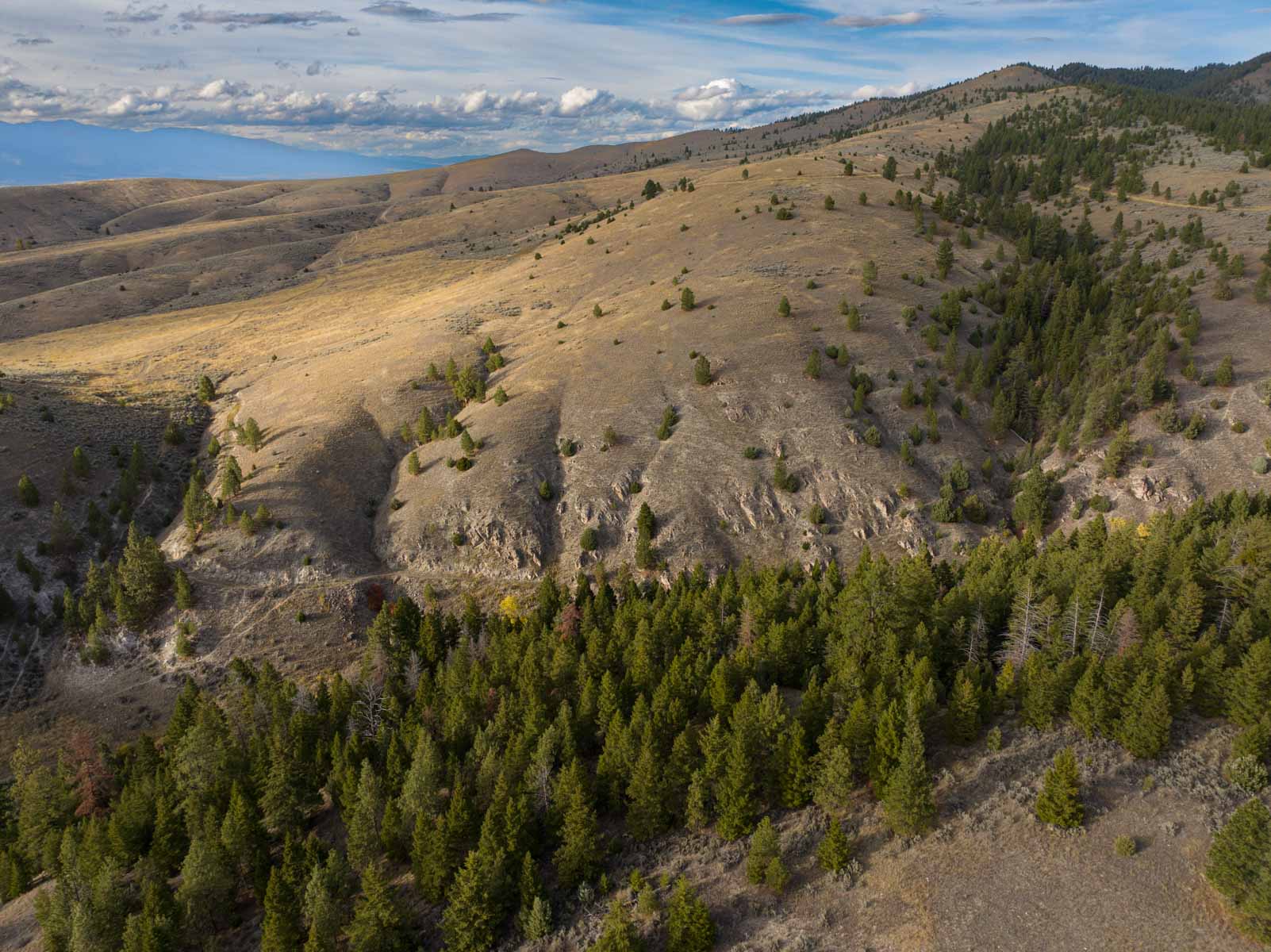 Bitterroot Mountain Retreat property picture 12 of 106