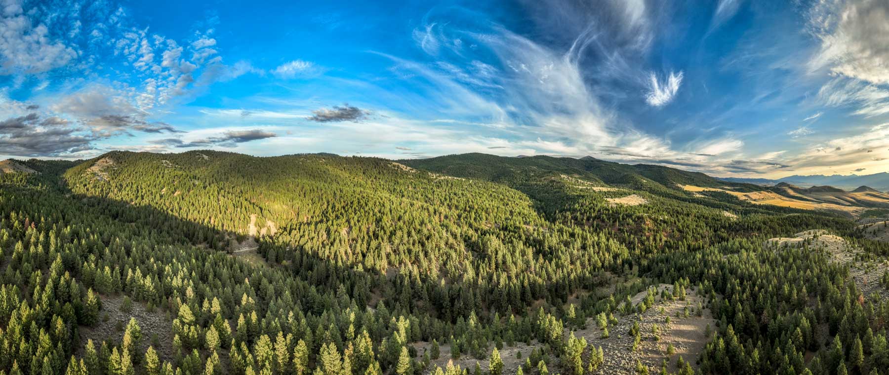 Bitterroot Mountain Retreat property picture 3 of 106