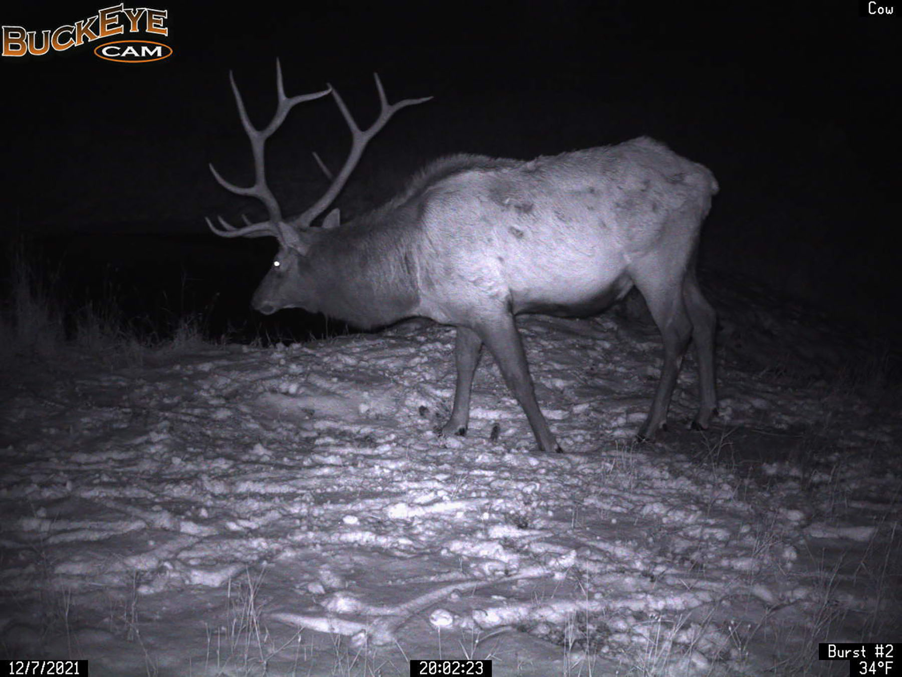 Bitterroot Mountain Retreat property picture 91 of 106