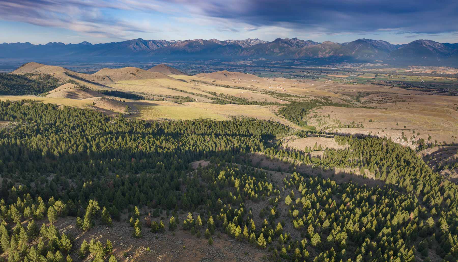 Bitterroot Mountain Retreat property picture 24 of 106