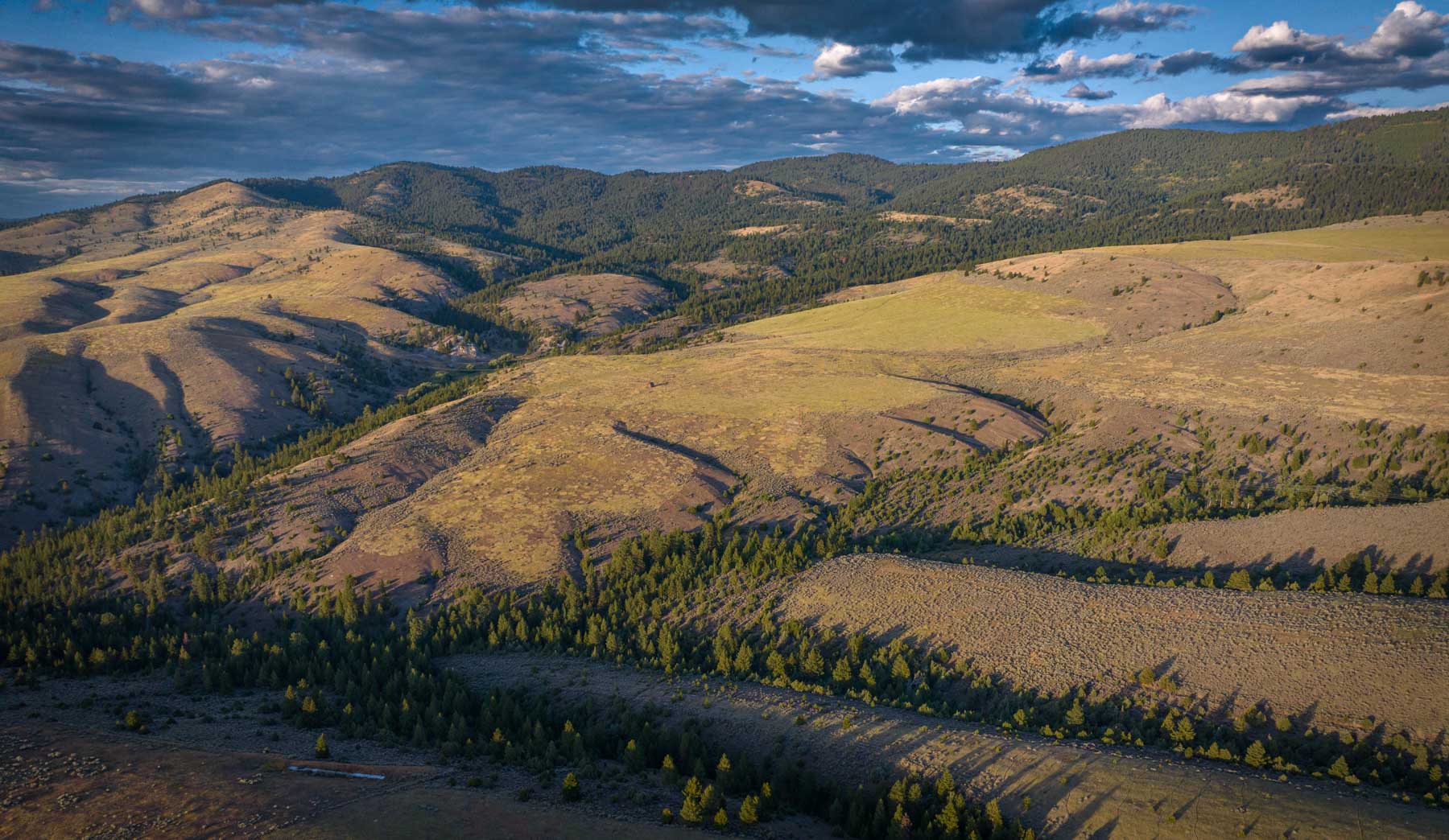 Bitterroot Mountain Retreat property picture 18 of 106