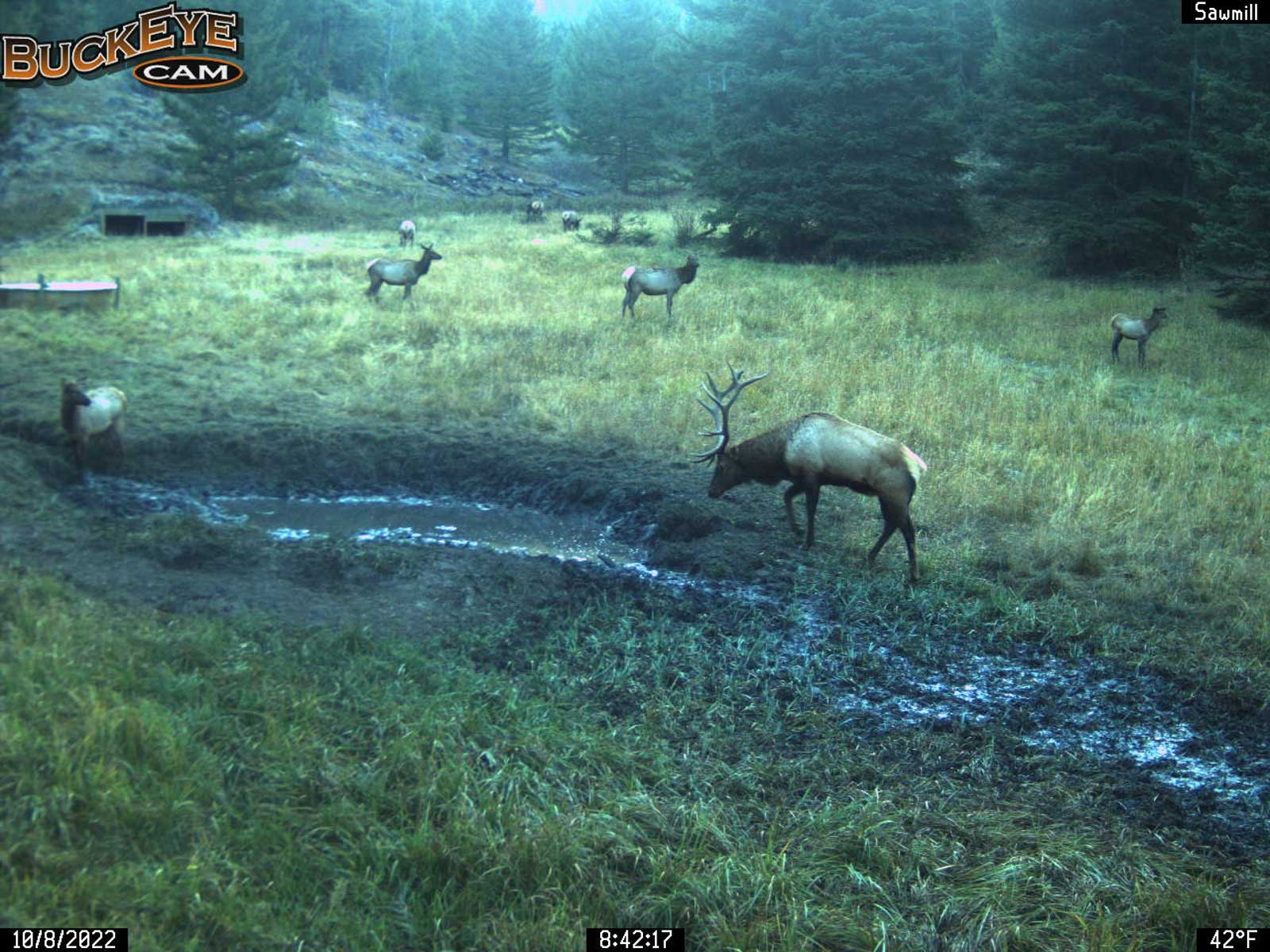 Bitterroot Mountain Retreat property picture 84 of 106