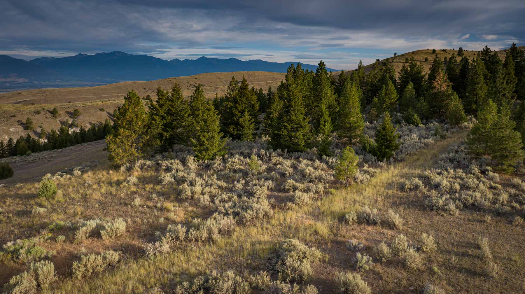 Bitterroot Mountain Retreat property picture 30 of 106
