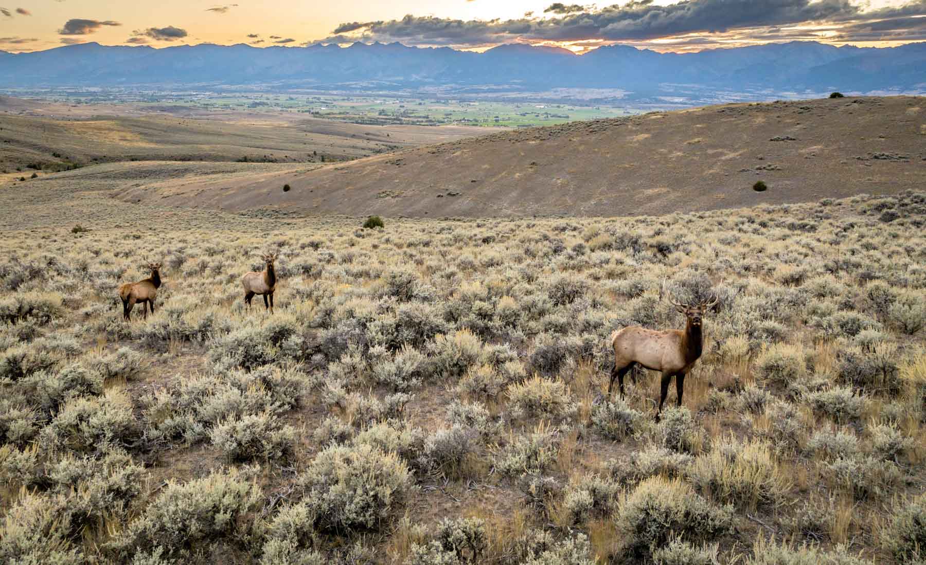 Bitterroot Mountain Retreat property picture 8 of 106
