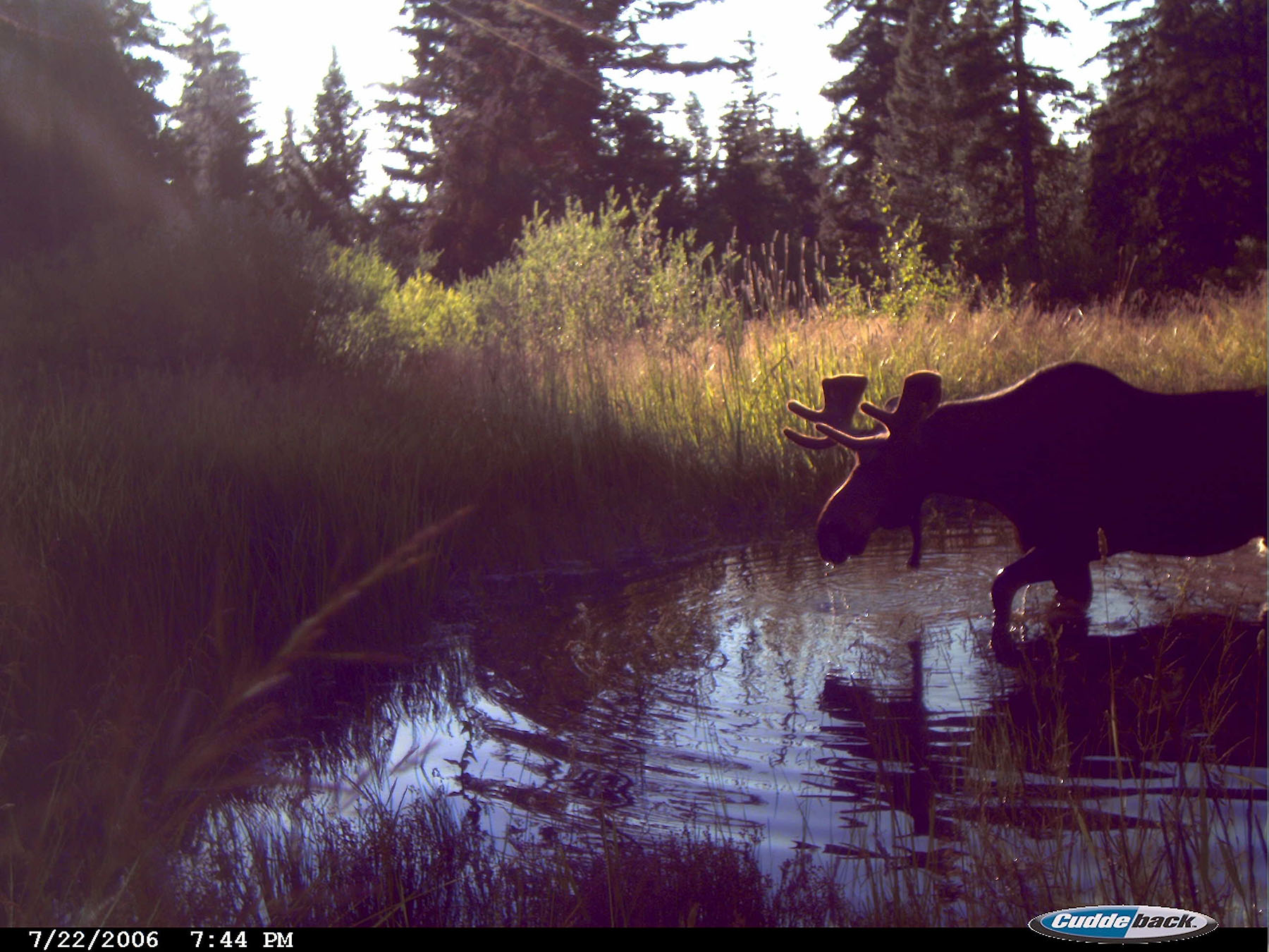 Bitterroot Mountain Retreat property picture 94 of 106