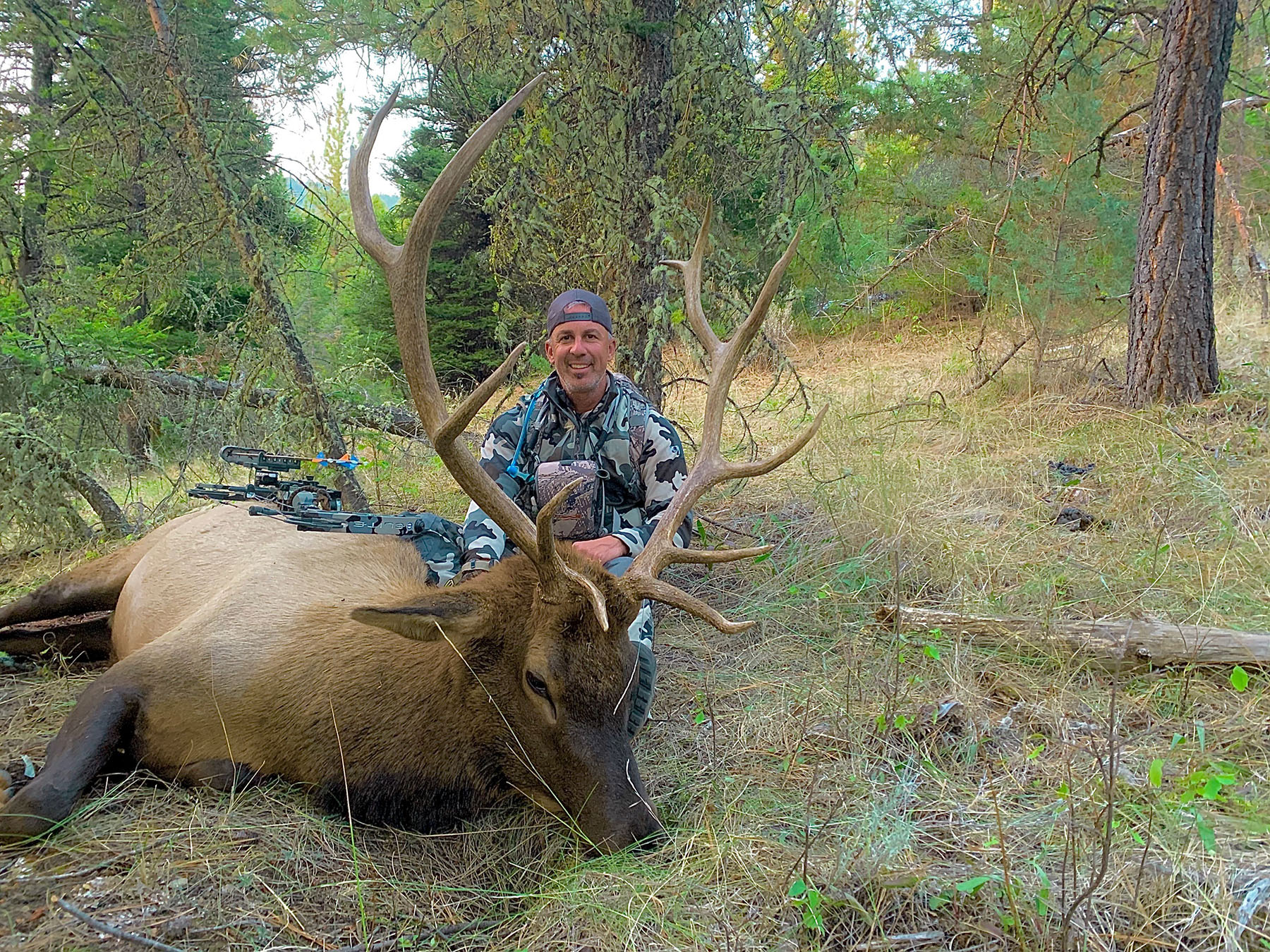 Bitterroot Mountain Retreat property picture 8 of 106