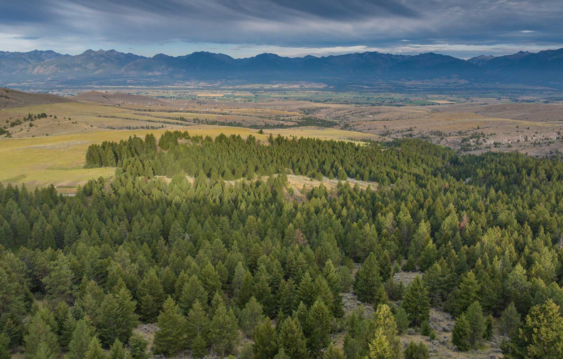 Bitterroot Mountain Retreat property picture 26 of 106