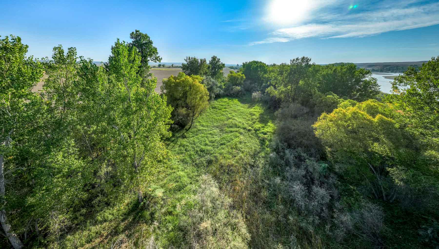 Butler Farm property picture 19 of 34