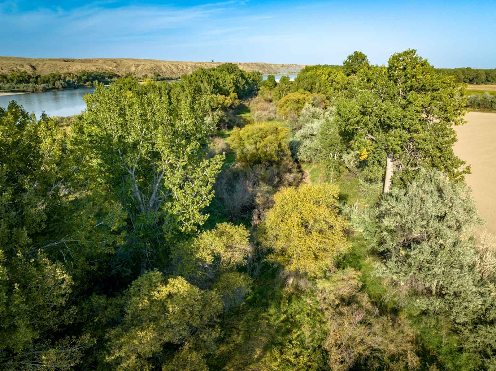 Butler Farm property picture 18 of 34