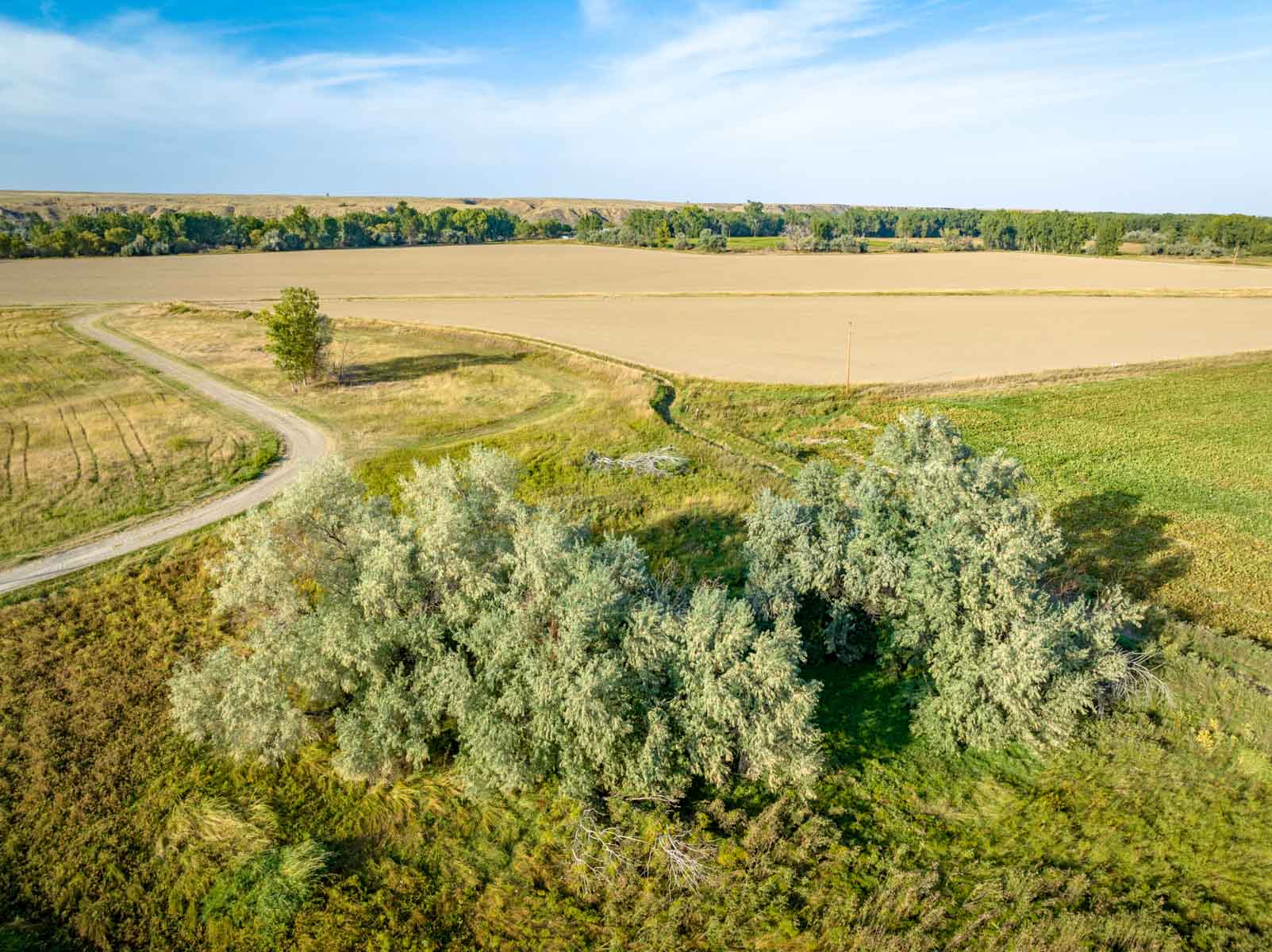 Butler Farm property picture 25 of 34