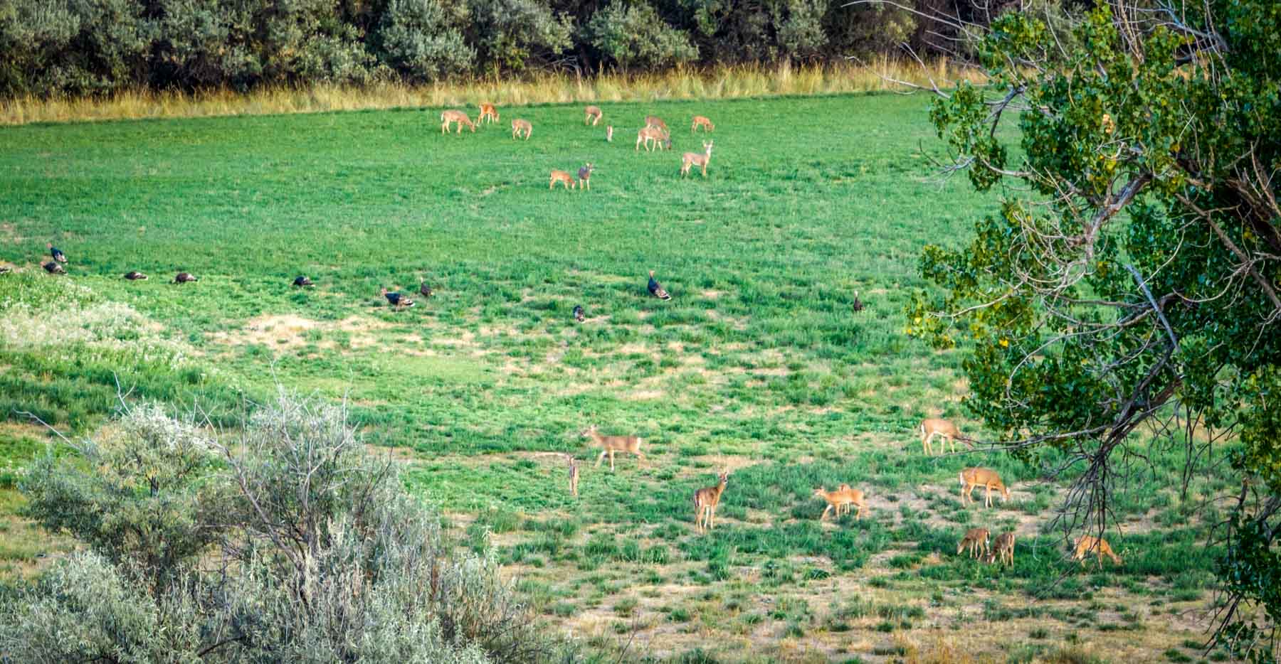 River Hunt Retreat property picture 19 of 49