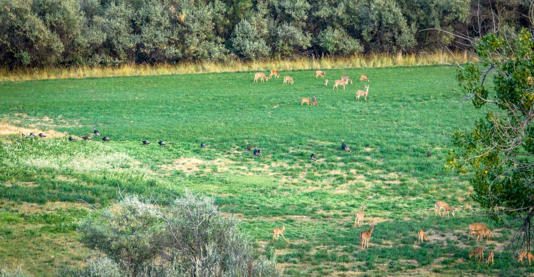 River Hunt Retreat property picture 17 of 49