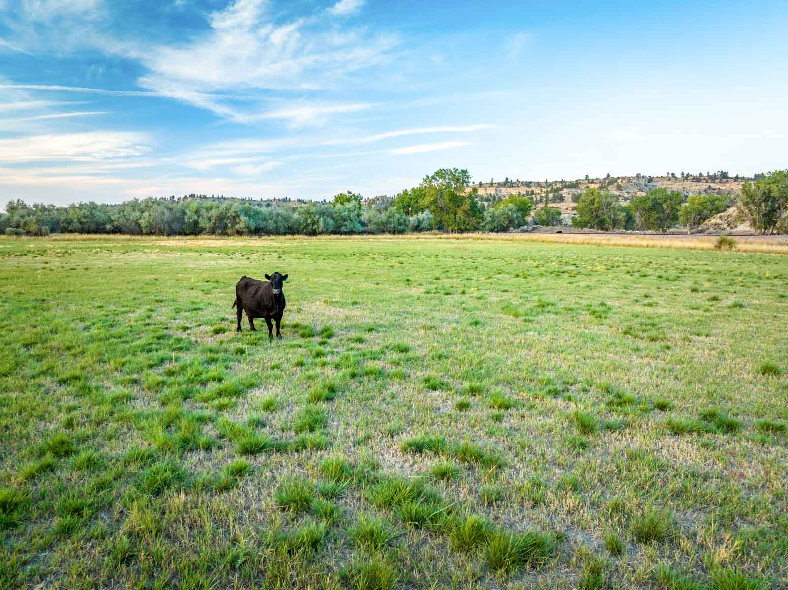 River Hunt Retreat property picture 11 of 49