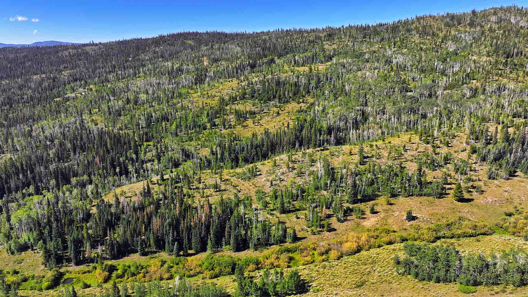 Gore Range Ranch property picture 3 of 55