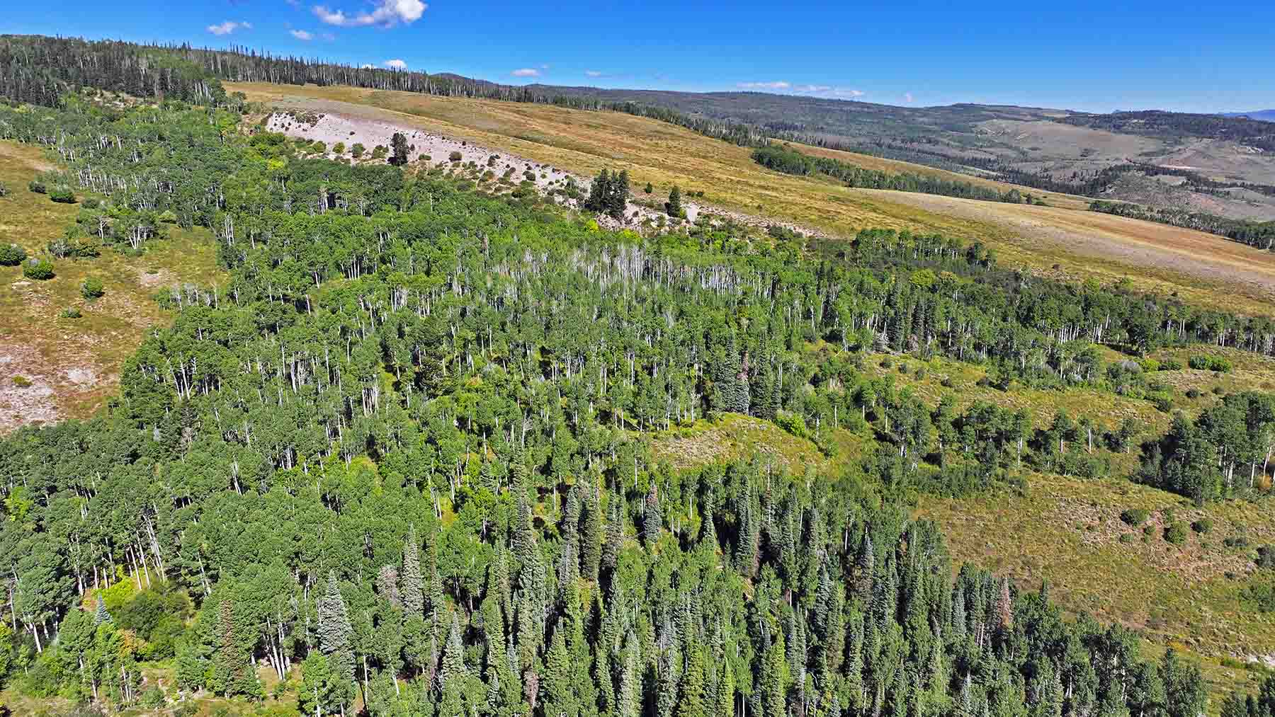 Gore Range Ranch property picture 7 of 55