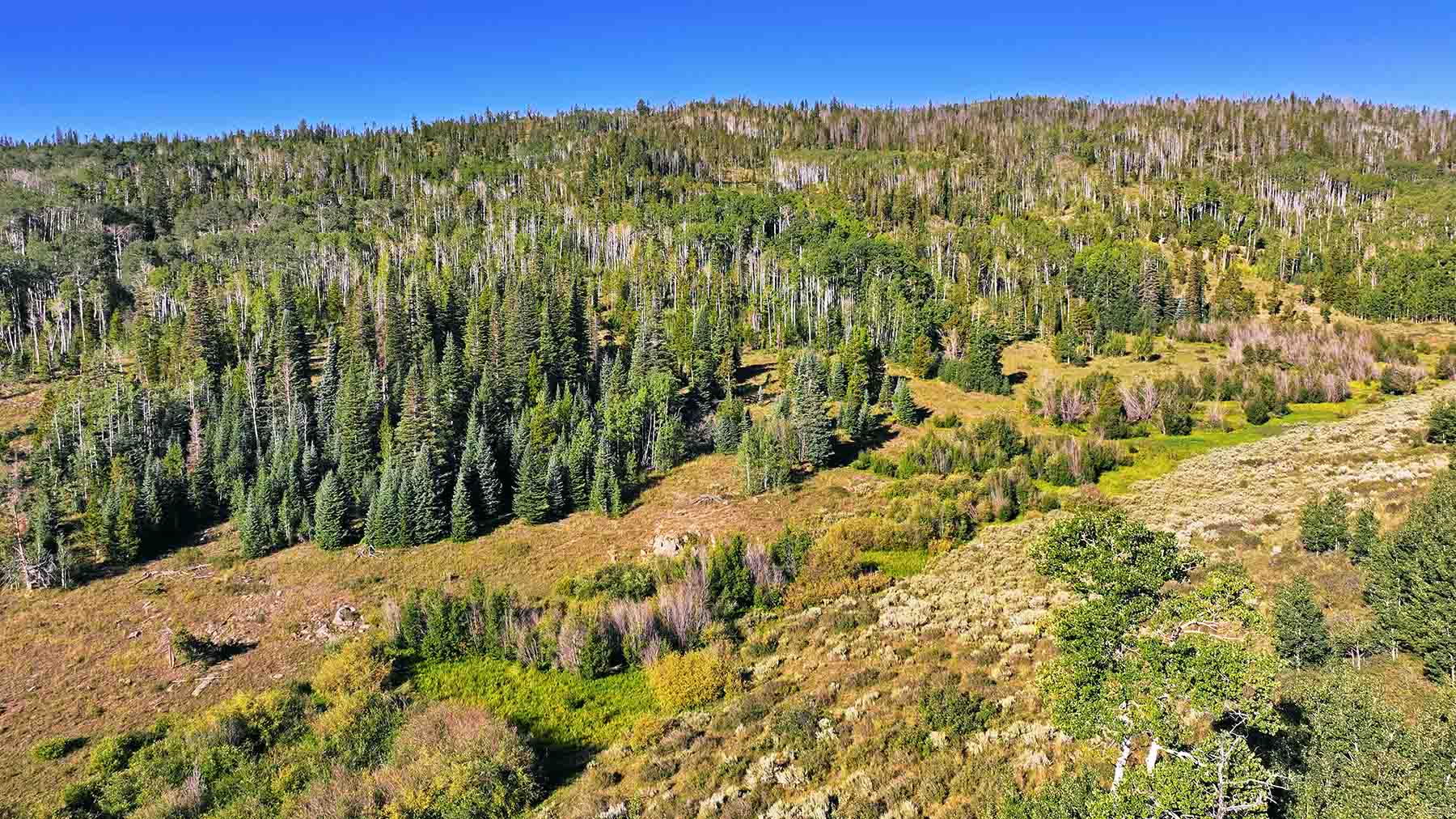 Gore Range Ranch property picture 5 of 55