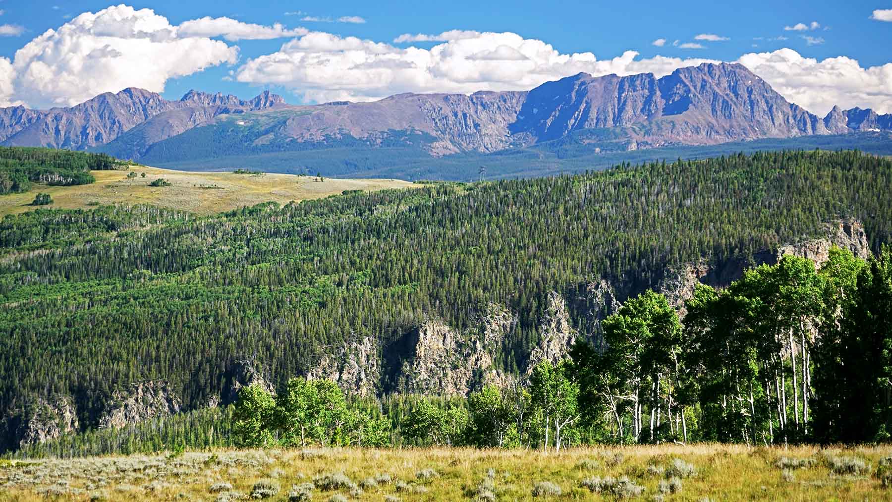 Gore Range Ranch property picture 18 of 55