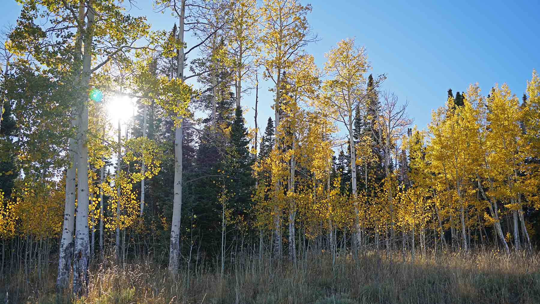 Gore Range Ranch property picture 25 of 55