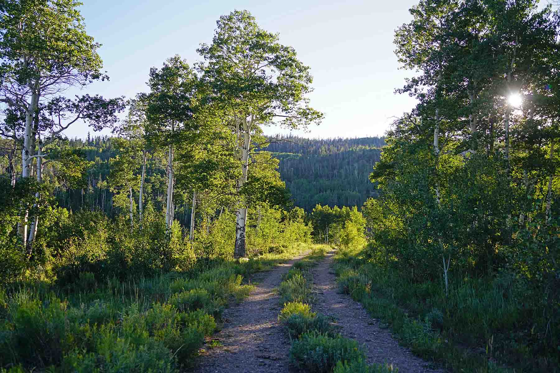 Gore Range Ranch property picture 34 of 55