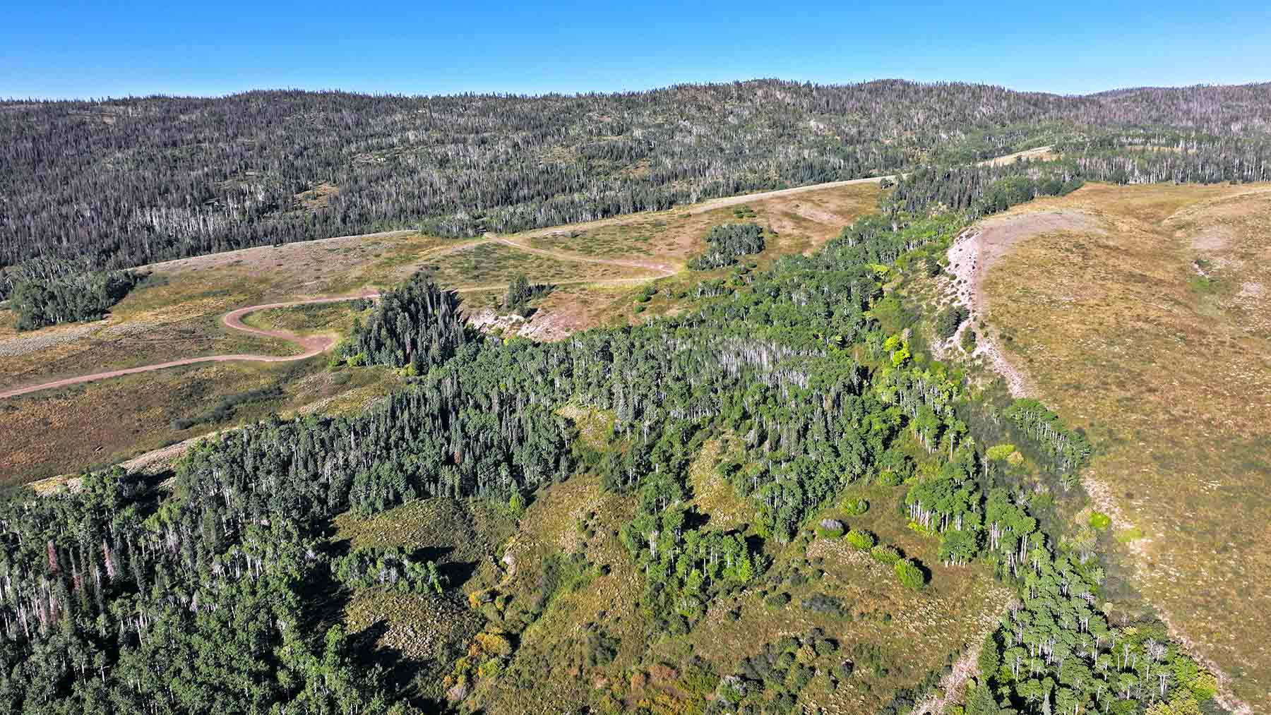 Gore Range Ranch property picture 12 of 55