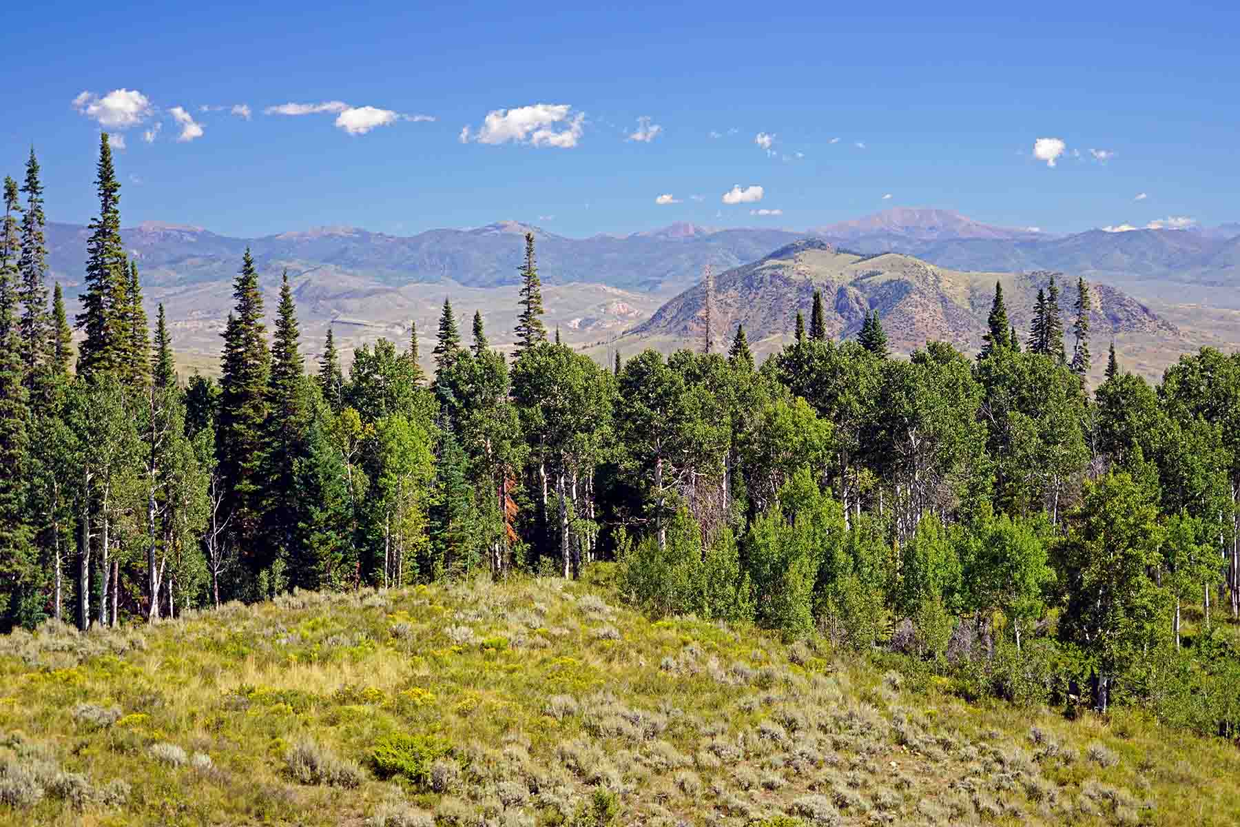 Gore Range Ranch property picture 30 of 55
