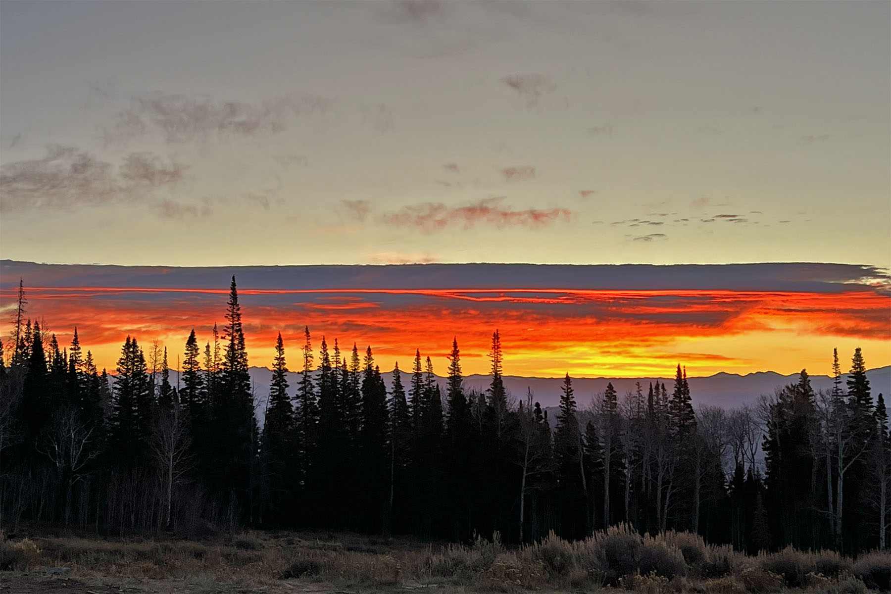 Gore Range Ranch property picture 60 of 66