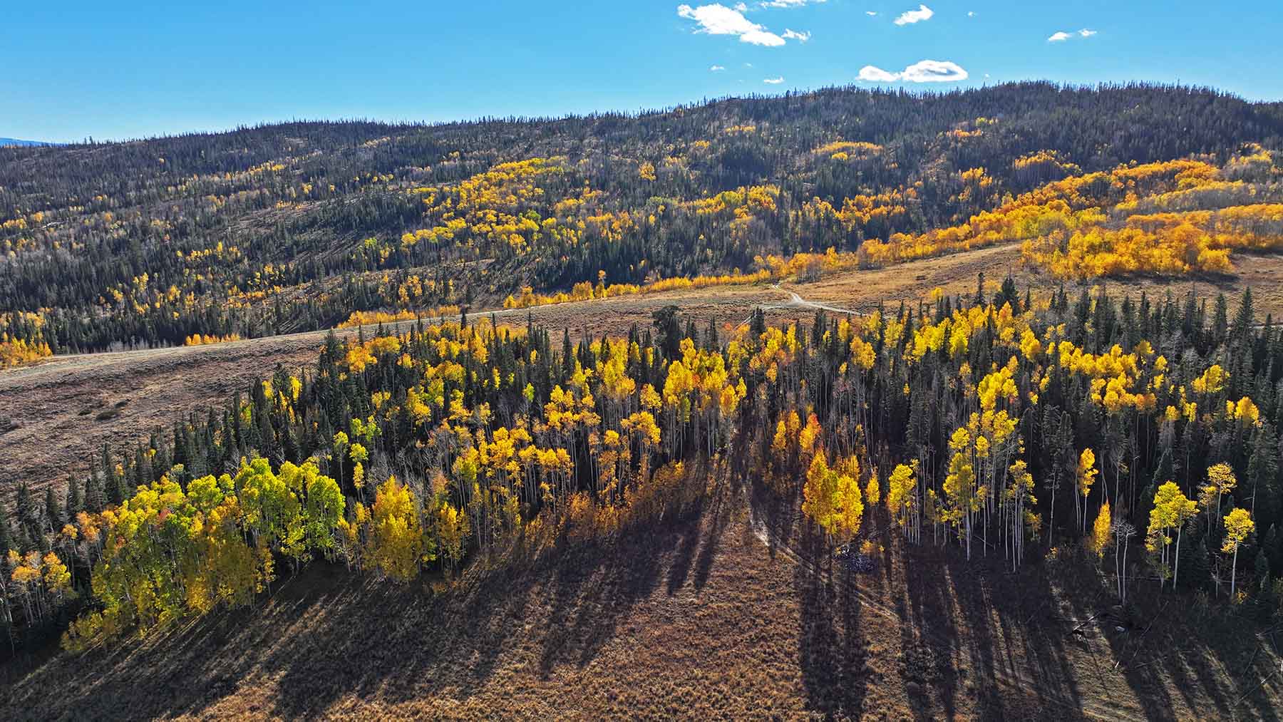 Gore Range Ranch property picture 6 of 55