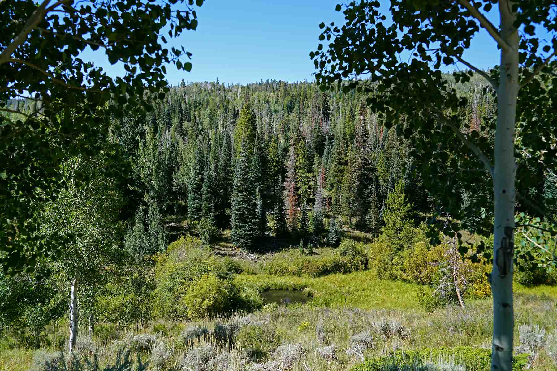 Gore Range Ranch property picture 36 of 55