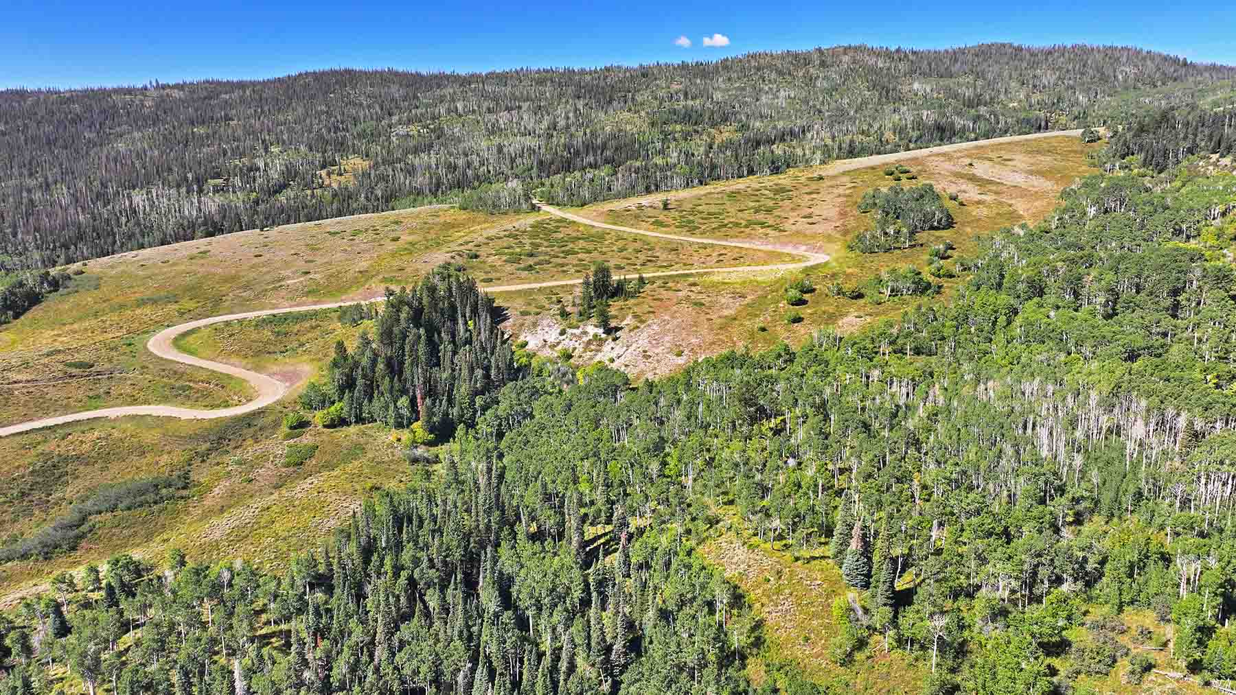 Gore Range Ranch property picture 20 of 55