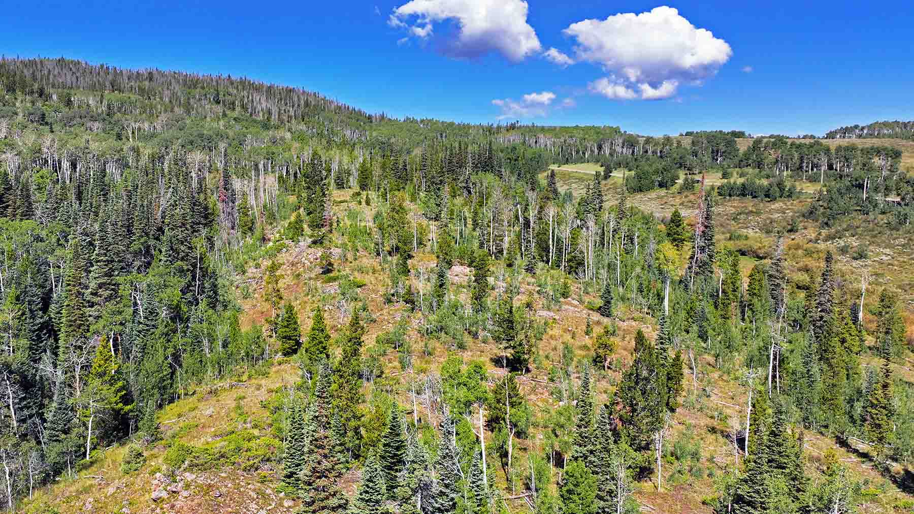 Gore Range Ranch property picture 31 of 55