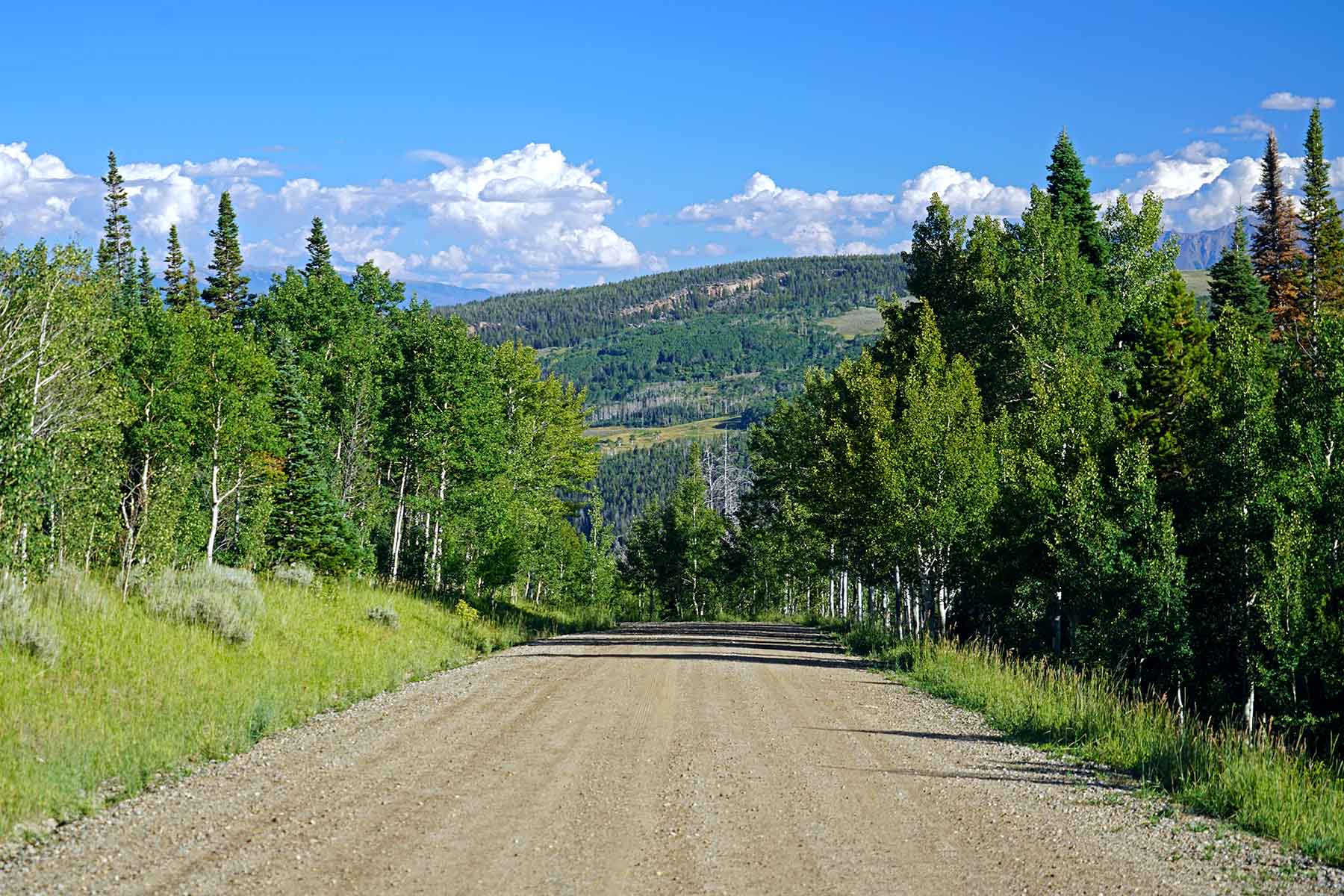 Gore Range Ranch property picture 28 of 55
