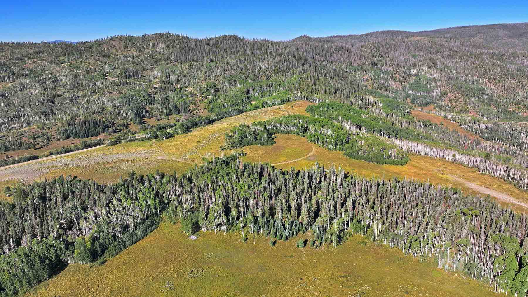 Gore Range Ranch property picture 9 of 55