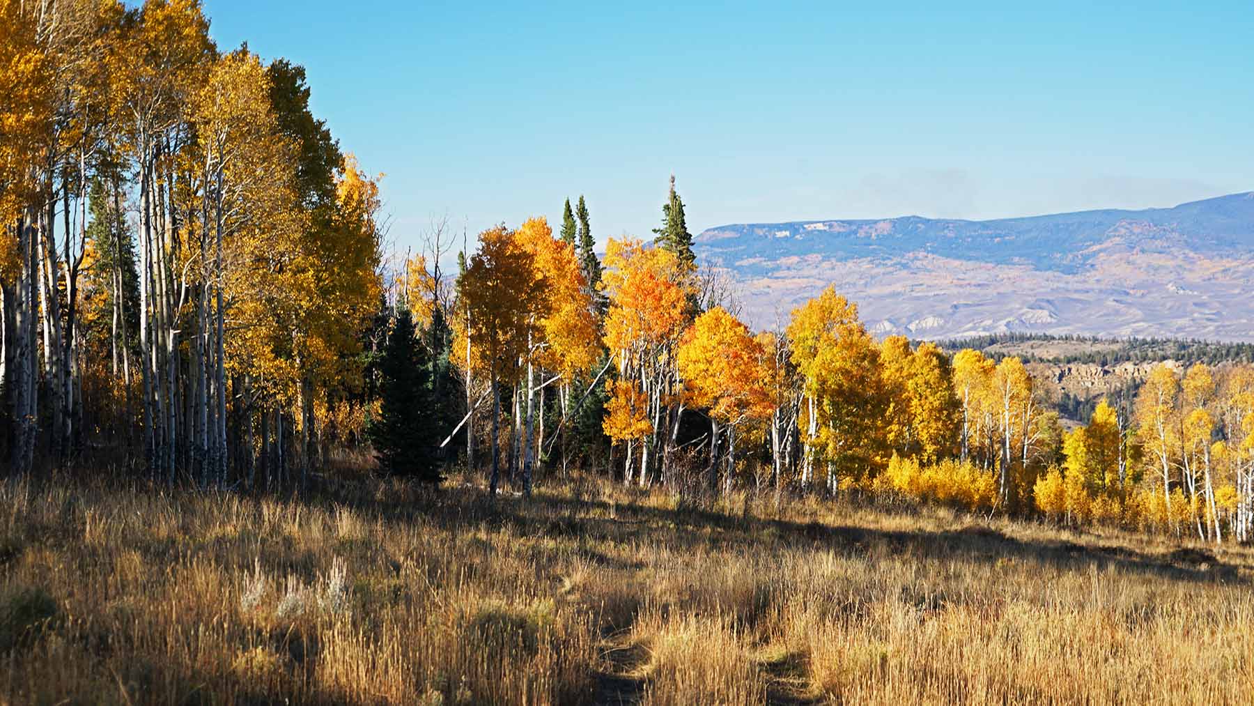 Gore Range Ranch property picture 38 of 55