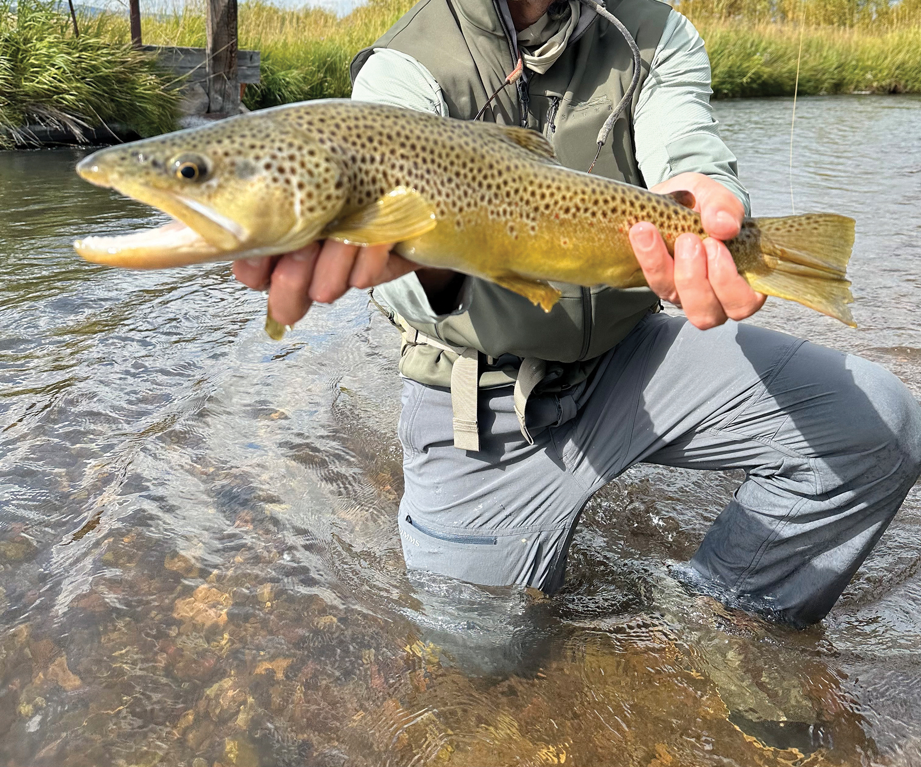 Rocking Chair Ranch property picture 72 of 80