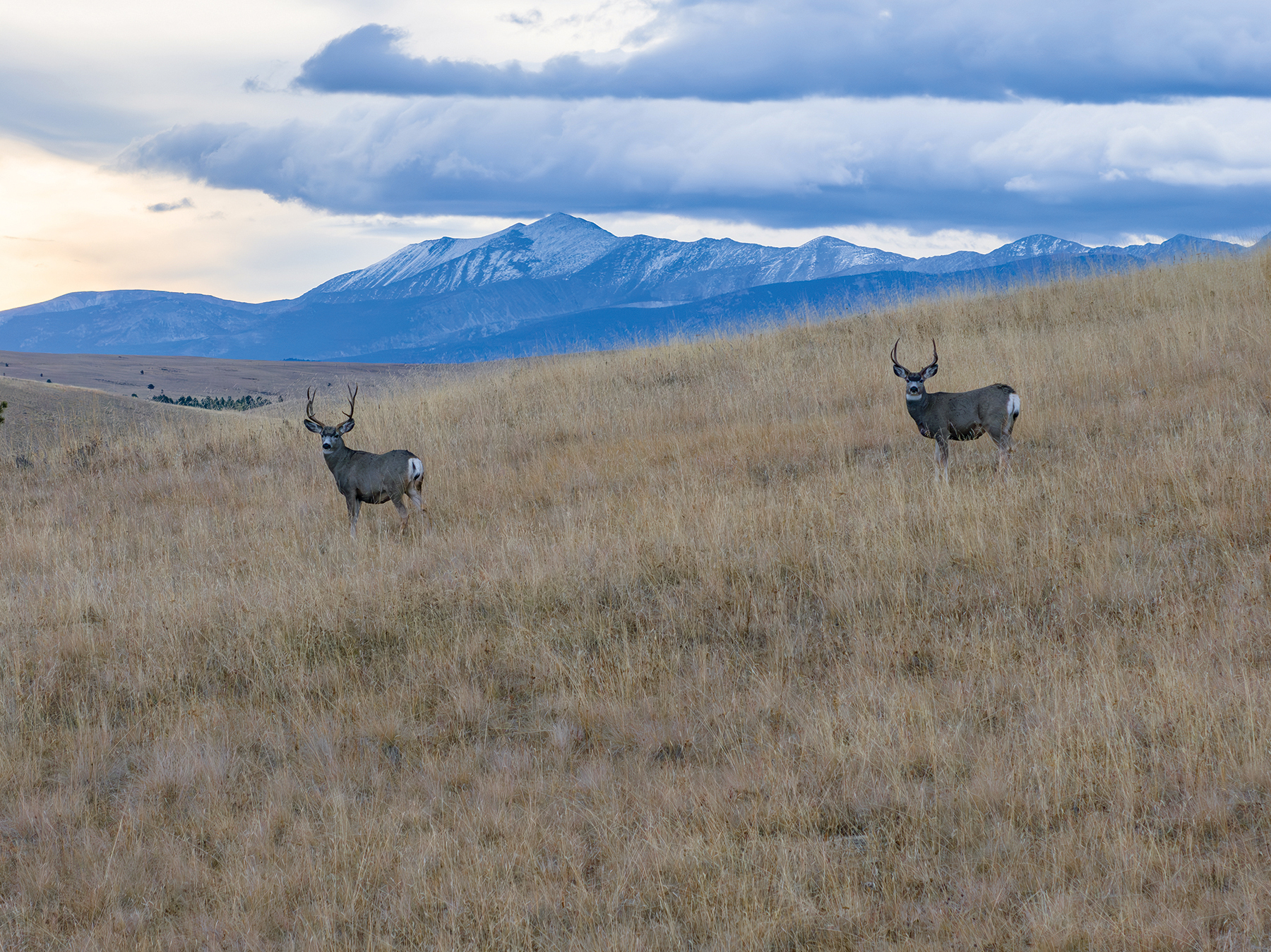Rocking Chair Ranch property picture 66 of 80
