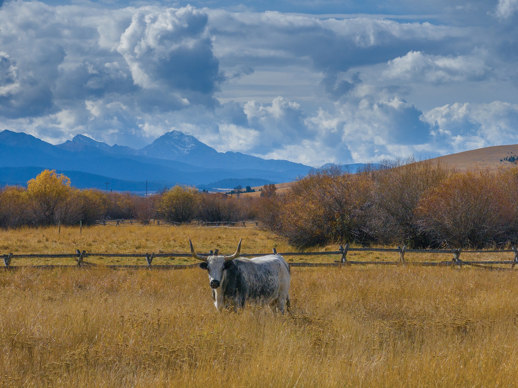 Rocking Chair Ranch property picture 50 of 80